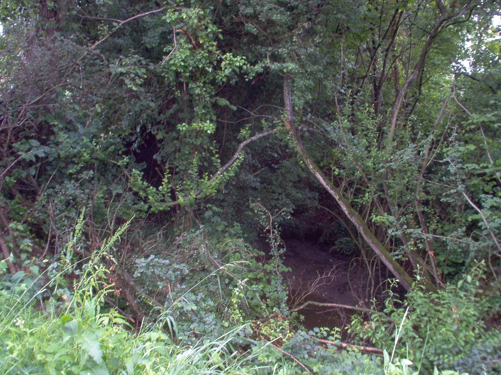 20110000 LA PAVÉE Pont-Farcy 17.jpg - IM000277.JPG